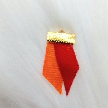 Gekleurd Lint Carnaval Speld