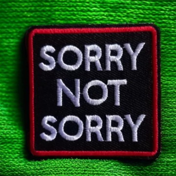 Sorry Not Sorry Tekst Embleem